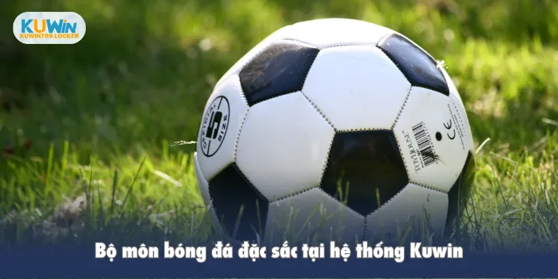 Thể Thao Kuwin Bộ môn bóng đá đặc sắc tại hệ thống Kuwin