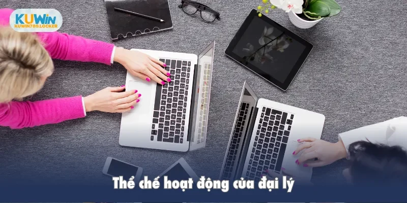 Đại lý Thể chế hoạt động của đại lý